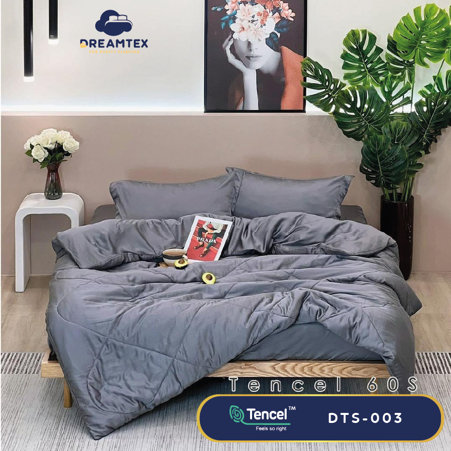 Bộ chăn ga Tencel đơn sắc Dreamtex DTS-003