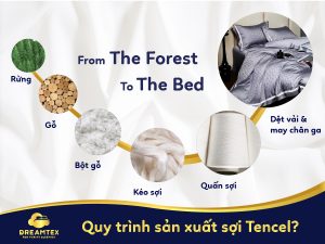Dreamtex chăn ga gối tencel Châu Âu