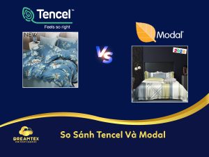 Dreamtex chăn ga tencel modal