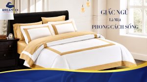 Chăn ra tencel sự lựa chọn hàng đầu năm 2026
